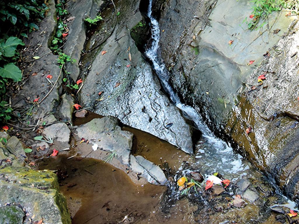Aronka Homestay Kandy Eksteriør bilde