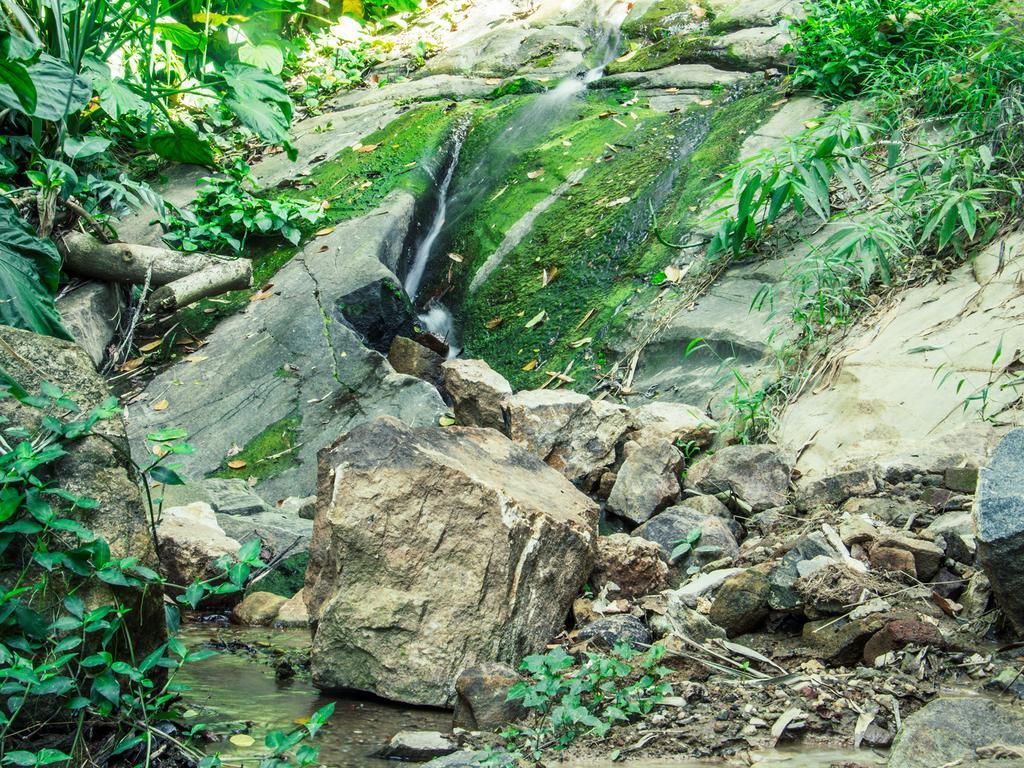 Aronka Homestay Kandy Eksteriør bilde